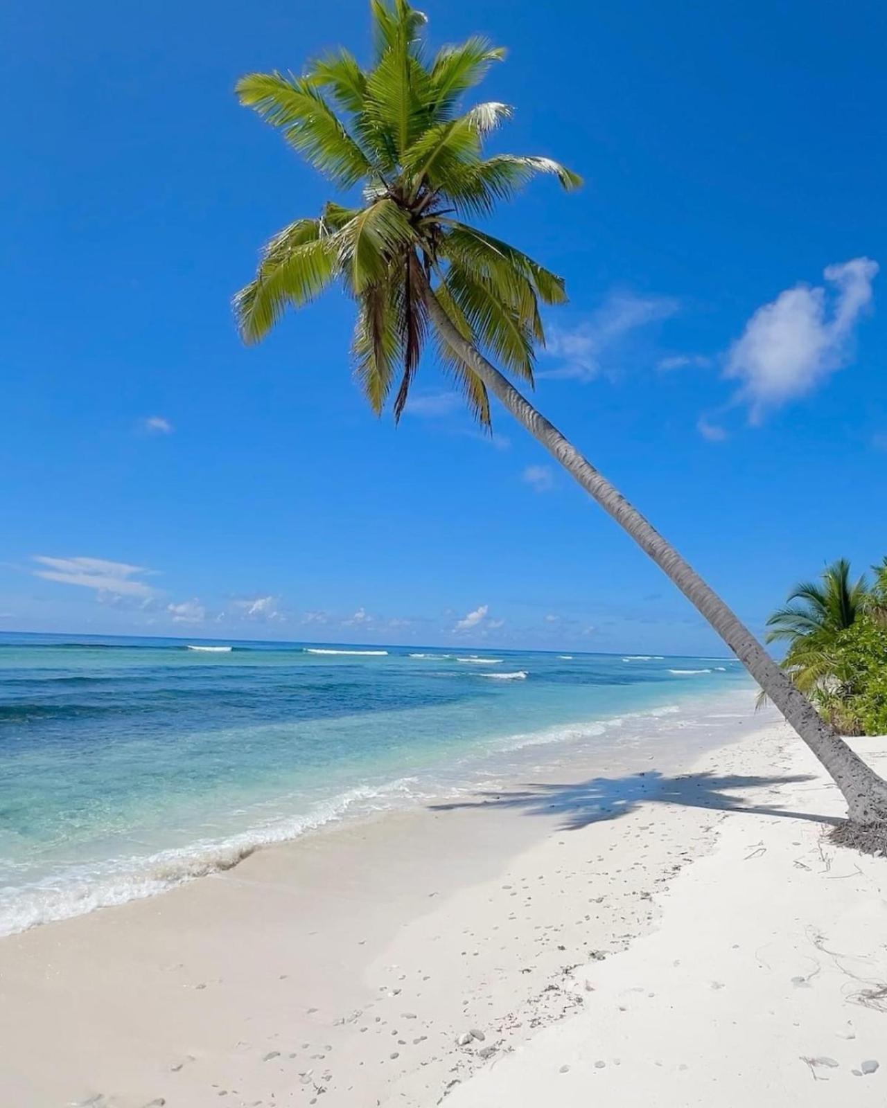 Charming Holiday Lodge- Addu Atoll Meedhoo, Maldives Ngoại thất bức ảnh