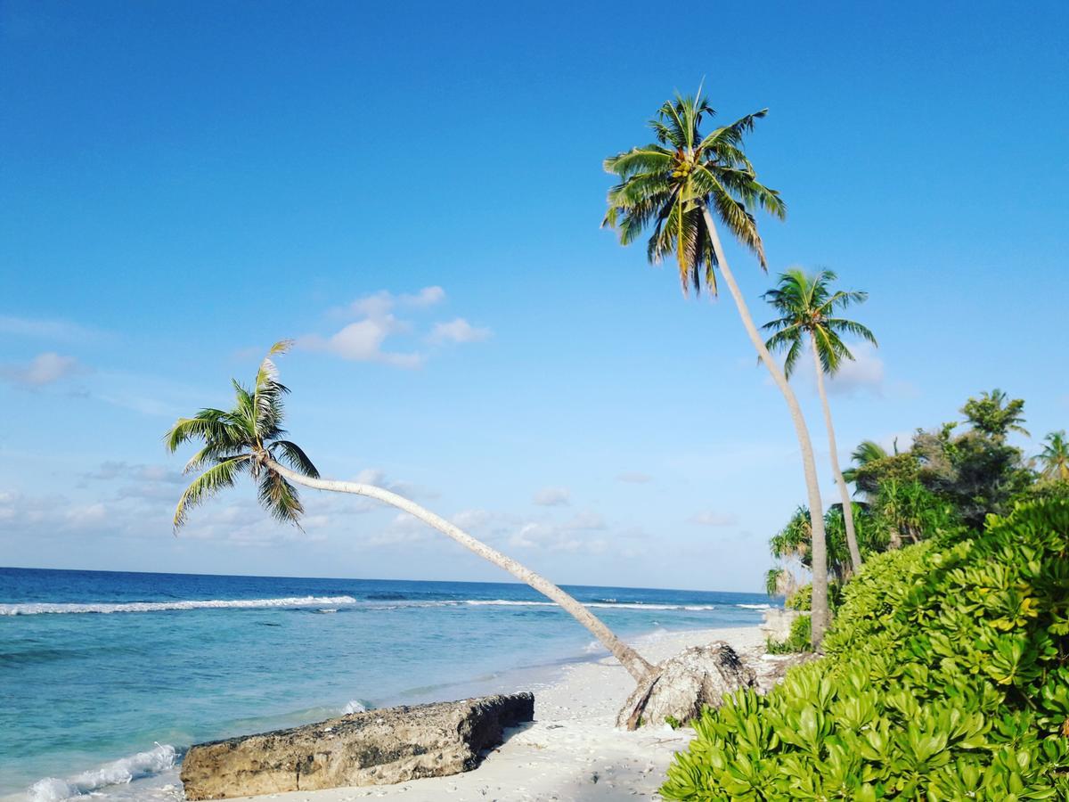 Charming Holiday Lodge- Addu Atoll Meedhoo, Maldives Ngoại thất bức ảnh